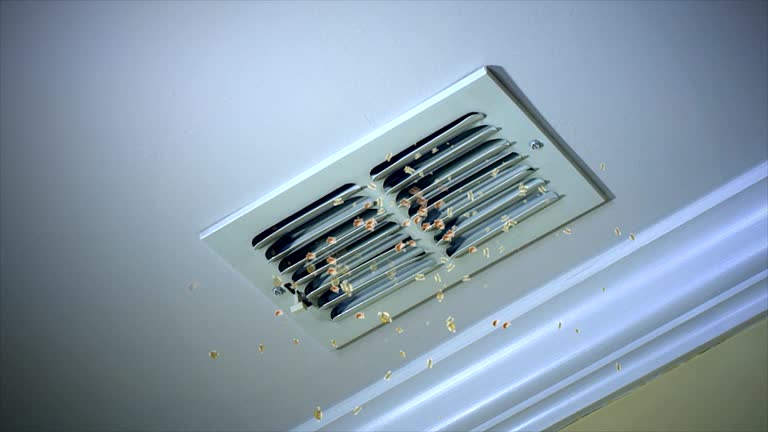 Best Dryer Vent Cleaning Services  in Florence, MT