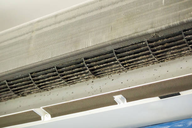 Best Air Duct Cleaning Near Me  in Florence, MT